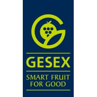 Gesex Logo