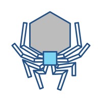 ANONYMOUS 5PiD3R Logo