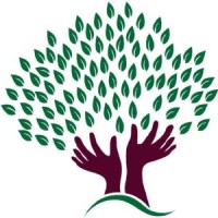 Coryne Forest LLC Logo