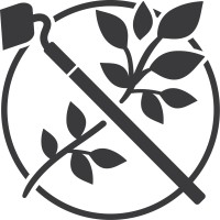 BWH Plant Co. Logo