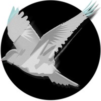 Arvensis Search Logo