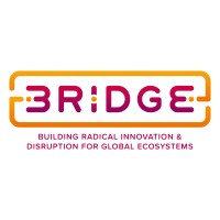 Bridge Ecosystem Logo