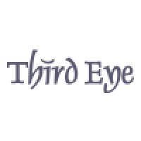Third Eye Solutions Inc. Logo