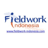 PT Fieldwork Indonesia Channel Logo
