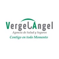 Vergel Angel Salud y Seguros Logo