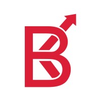 Bridgekash International Private Limited Logo