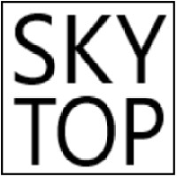 SKYTOP CONSULTING LLC Logo