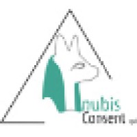 ANUBIS CONSENT SPRL Logo