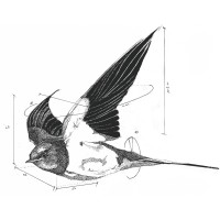 Atelier Hirondelle Logo