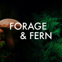 Forage & Fern Logo