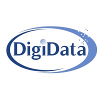 DigiData Systems Logo