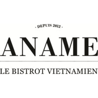 Aname Logo