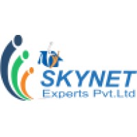 Skynet Experts Pvt. Ltd. Logo
