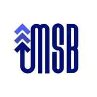 MSB-IT Logo