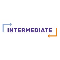 INTERMEDIATE Interim Professionals Logo