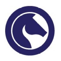 EVERSOLVE Logo