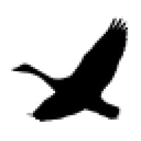 Gefain Digital Services Ltd Logo