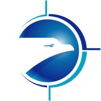 Shetland Flyer Aerial Media Logo