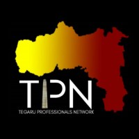 Tegaru Professionals Network Logo