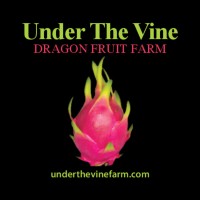Under The Vine - Dragon Fruit Farm Logo