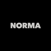 NORMA / Nordic Matter Logo