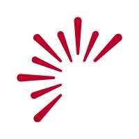 Service Organisatie NederlandSport Logo