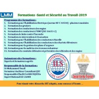 LMM International Consulting Logo