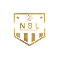 National Soccer League™ Logo