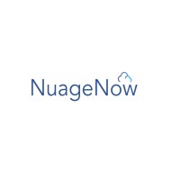 NuageNow Consulting Logo