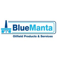 Blue Manta International Limited Logo