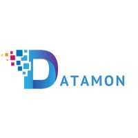 Datamon IT Services Private Limited Logo