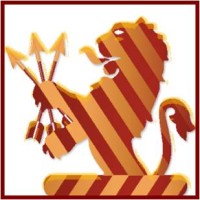 BMS | HOLDINGS LTD Logo