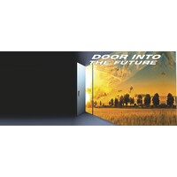 Door Into the Future Logo