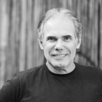 Yapó | Orsini Paisagismo Logo