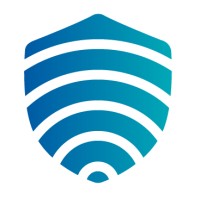 Blue Mirror - PPE instructor Logo