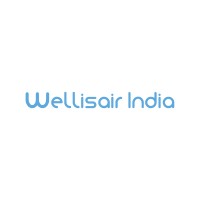 Wellisair India Logo