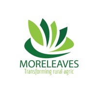 MORELEAVES Logo