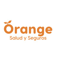 Orange seguros Ltda Logo