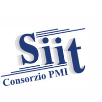SIIT PMI Logo