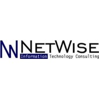 NetWise IT Consulting Logo