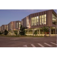 City Impact Church School Logo