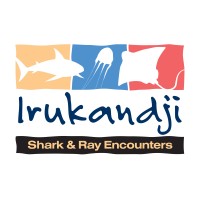 Irukandji Shark & Ray Encounters Logo