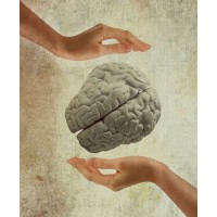 Counselling Service for You Logo