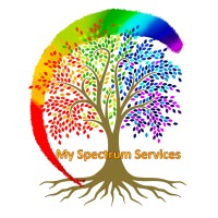 My Spectrum Services Logo