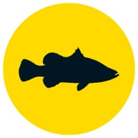 Funky Barramundi Logo