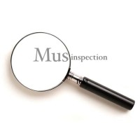 MusInspection Logo