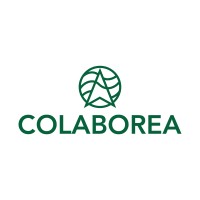 COLABOREA Logo