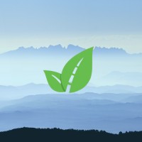 Ruta Verde Logo