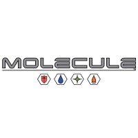 Molecule Logo