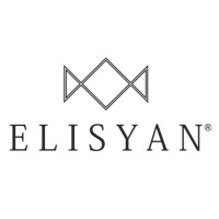 Elisyan India Pvt Ltd Logo